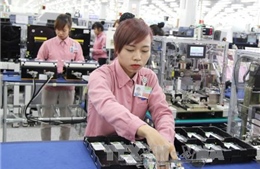 Doanh nghiệp Việt Nam nỗ lực tham gia vào chuỗi cung ứng toàn cầu 